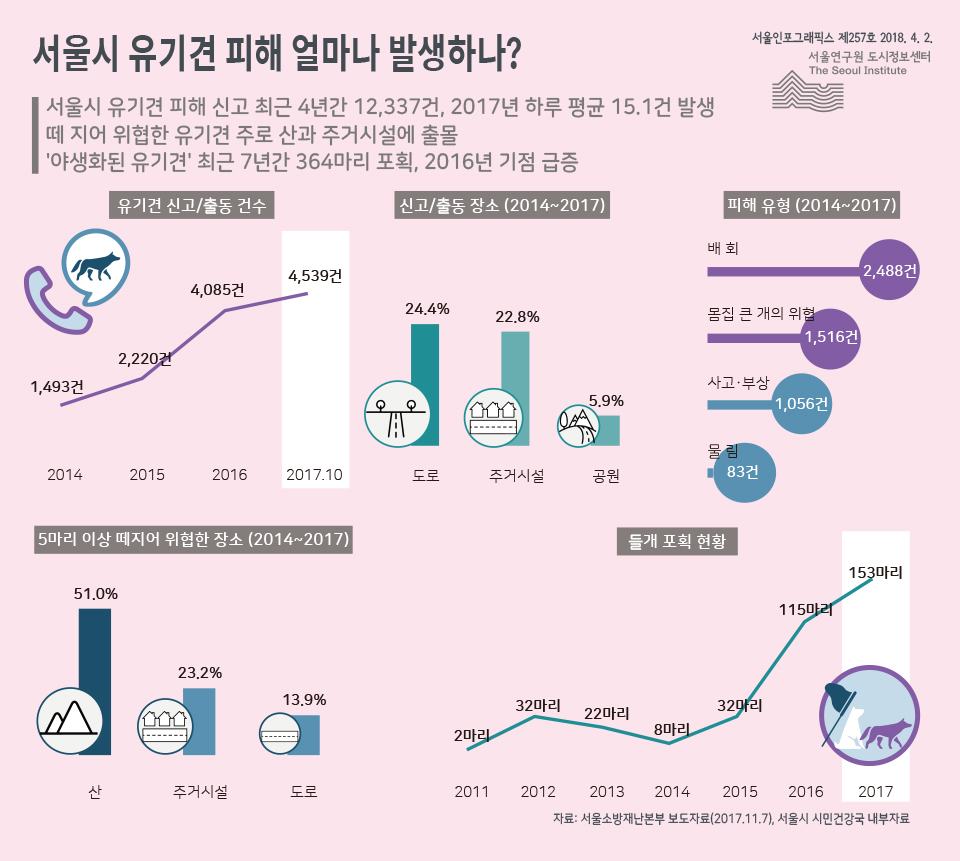 서울시 유기견 피해 얼마나 발생하나?