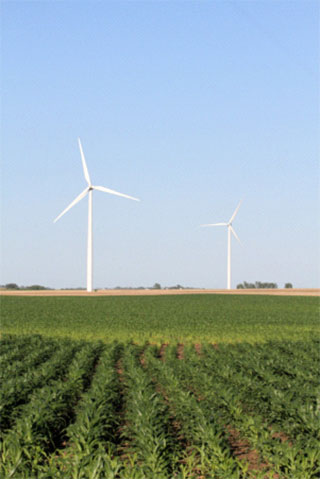 [그림 1] 일리노이州 풍력 발전소 전경