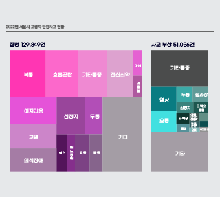 서울시 고령자 안전사고 현황은?