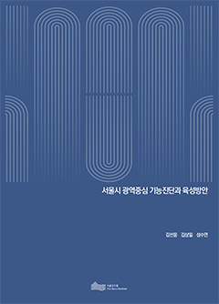서울시 광역중심 기능진단과 육성방안 이미지