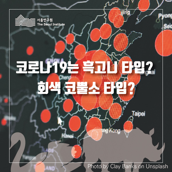 코로나19는 흑고니 타입? 회색 코뿔소 타입? 이미지