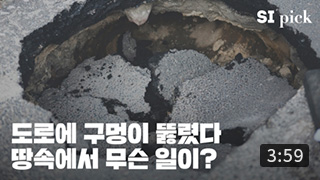 [SI Pick] 서울의 지하세계를 안전하게 다스리는 법 이미지