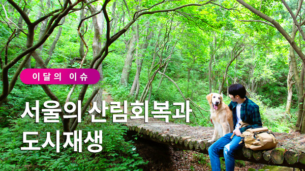 서울이슈큐레이터 - 서울의 산림회복과 도시재생 썸네일 이미지