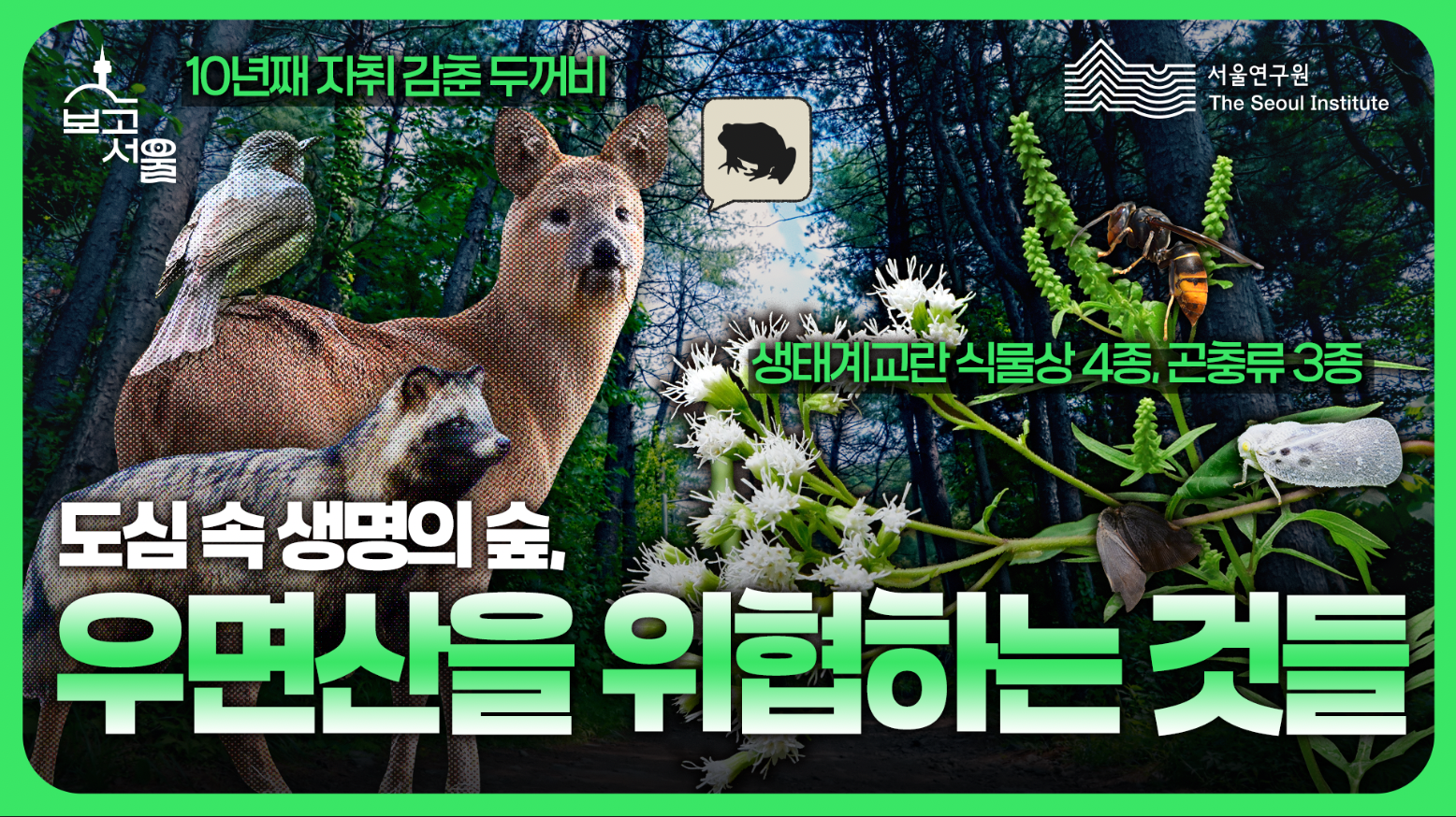 도시를 품은 생명의 보고, 우면산을 기록하다 이미지