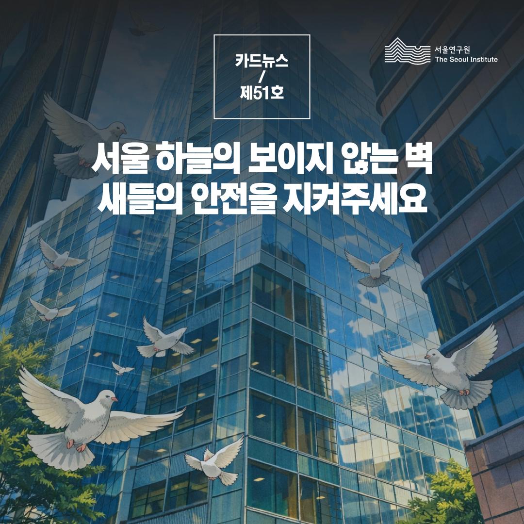 서울 하늘의 보이지 않는 벽, 새들의 안전을 지켜주세요