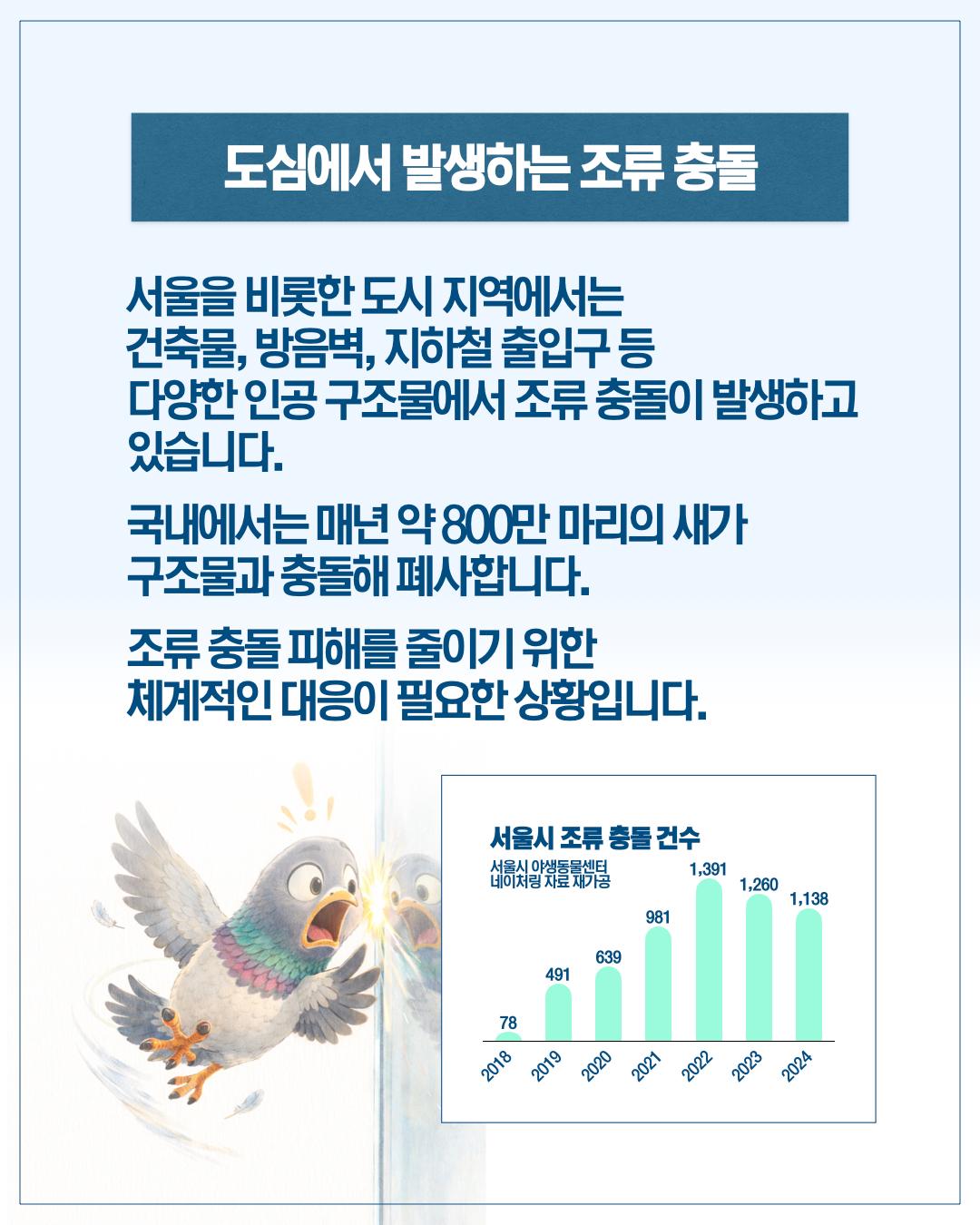 서울 하늘의 보이지 않는 벽, 새들의 안전을 지켜주세요 이미지