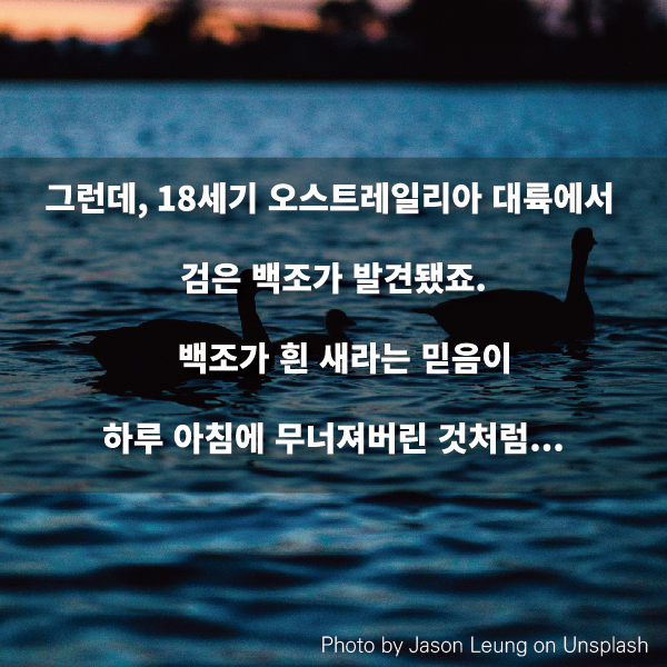 그런데, 18세기 오스트레일리아 대륙에서 검은 백조가 발견됐죠.    백조가 흰 새라는 믿음이 하루 아침에 무너져버린 것처럼...