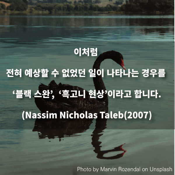 이처럼 전혀 예상할 수 없었던 일이 나타나는 경우를 ‘블랙 스완’,     ‘흑고니 현상’이라고 합니다.(Nassim Nicholas Taleb(2007))