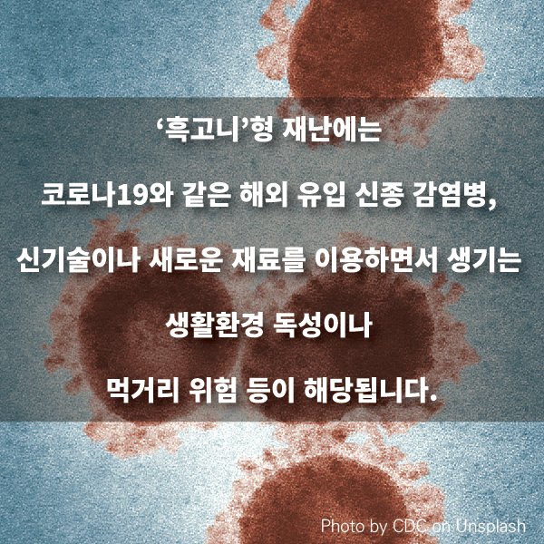 ‘흑고니’형 재난에는 코로나19와 같은 해외 유입 신종 감엽병, 신기술이나 새로운 재료를 이용하면서 생기는 생활환경 독성이나 먹거리 위험 등이 해당됩니다.