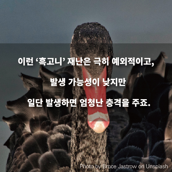 이런 ‘흑고니’ 재난은 극히 예외적이고, 발생 가능성이 낮지만 일단 발생하면 엄청난 충격을 주죠.