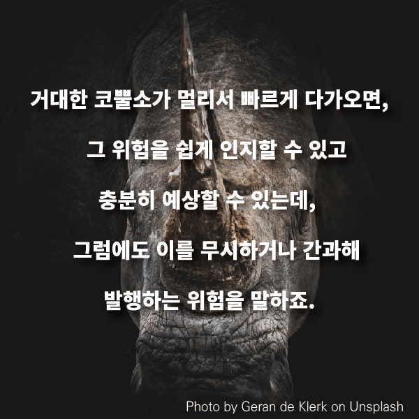 거대한 코뿔소가 멀리서 빠르게 다가오면, 그 위험을 쉽게 인지할 수 있고 충분히 예상할 수 있는데,  그럼에도 이를 무시하거나 간과해 발행하는 위험을 말하죠.