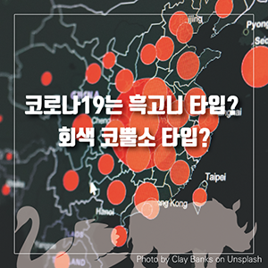 코로나19는 흑고니 타입? 회색 코뿔소 타입?
