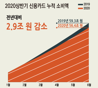 코로나19가 바꾼 서울시민의 소비 (2020 상반기)