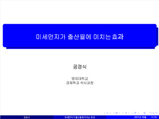 미세먼지가 출산율에 미치는 효과