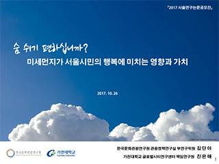 미세먼지가 서울시민의 행복에 미치는 영향과 가치