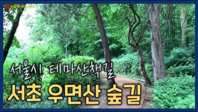 서초 우면산숲길 입구부터 서울연구원까지